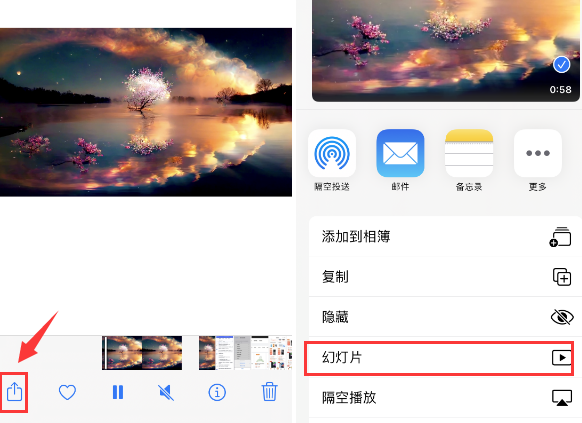 隆子苹果14维修店分享iPhone14相册视频如何循环播放 