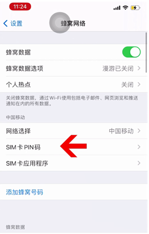 隆子苹果14维修网分享如何给iPhone14的SIM卡设置密码 