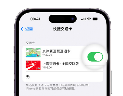 隆子apple维修点分享iPhone上更换Apple Pay快捷交通卡手绘卡面 