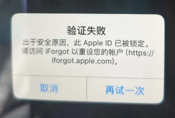 隆子iPhone维修分享iPhone上正常登录或使用AppleID怎么办 