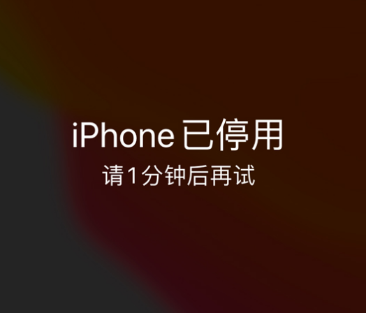 隆子苹果手机维修分享:iPhone 显示“不可用”或“已停用”怎么办？还能保留数据吗？ 