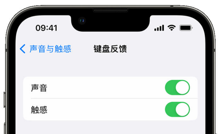 隆子苹果手机维修分享iPhone 14触感键盘使用方法 