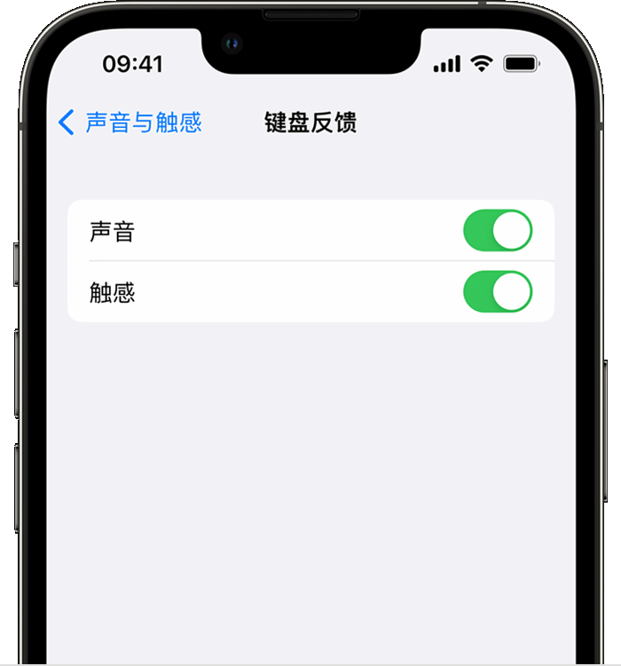 隆子苹果14维修店分享如何在 iPhone 14 机型中使用触感键盘 