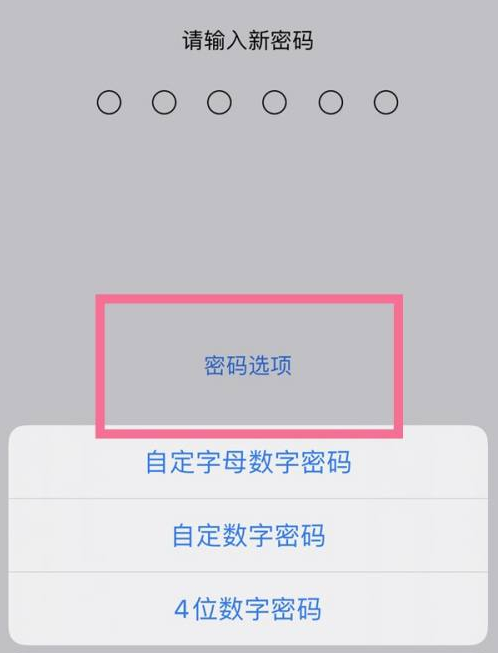 隆子苹果14维修分享iPhone 14plus设置密码的方法 