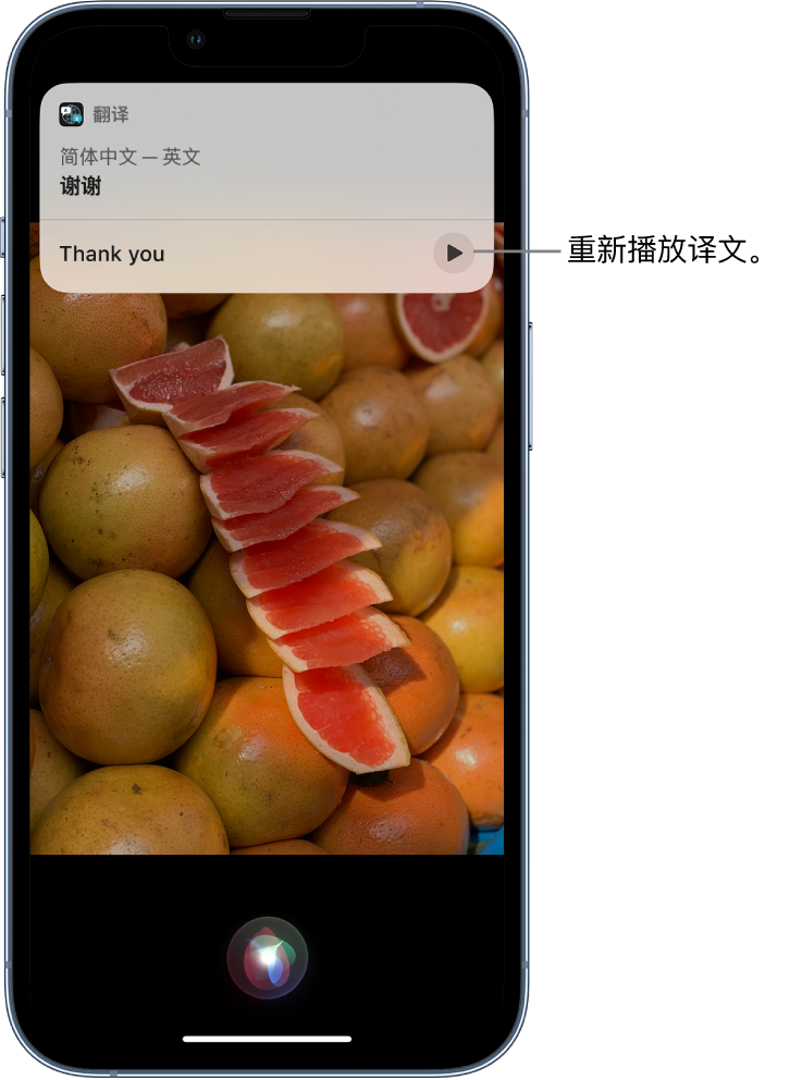 隆子苹果14维修分享 iPhone 14 机型中使用 Siri：了解 Siri 能帮你做什么 