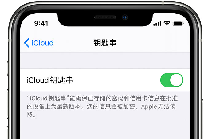 隆子苹果手机维修分享在 iPhone 上开启 iCloud 钥匙串之后会储存哪些信息 