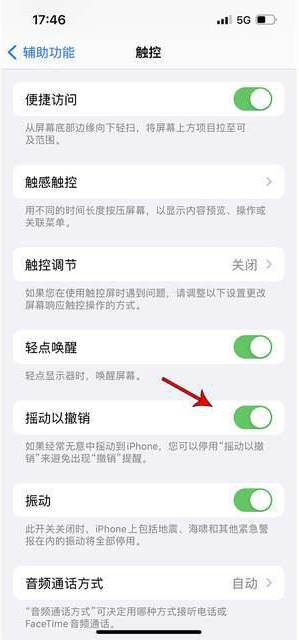 隆子苹果手机维修分享iPhone手机如何设置摇一摇删除文字 