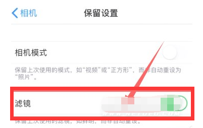隆子苹果13维修分享iPhone13拍照有绿点是怎么回事 