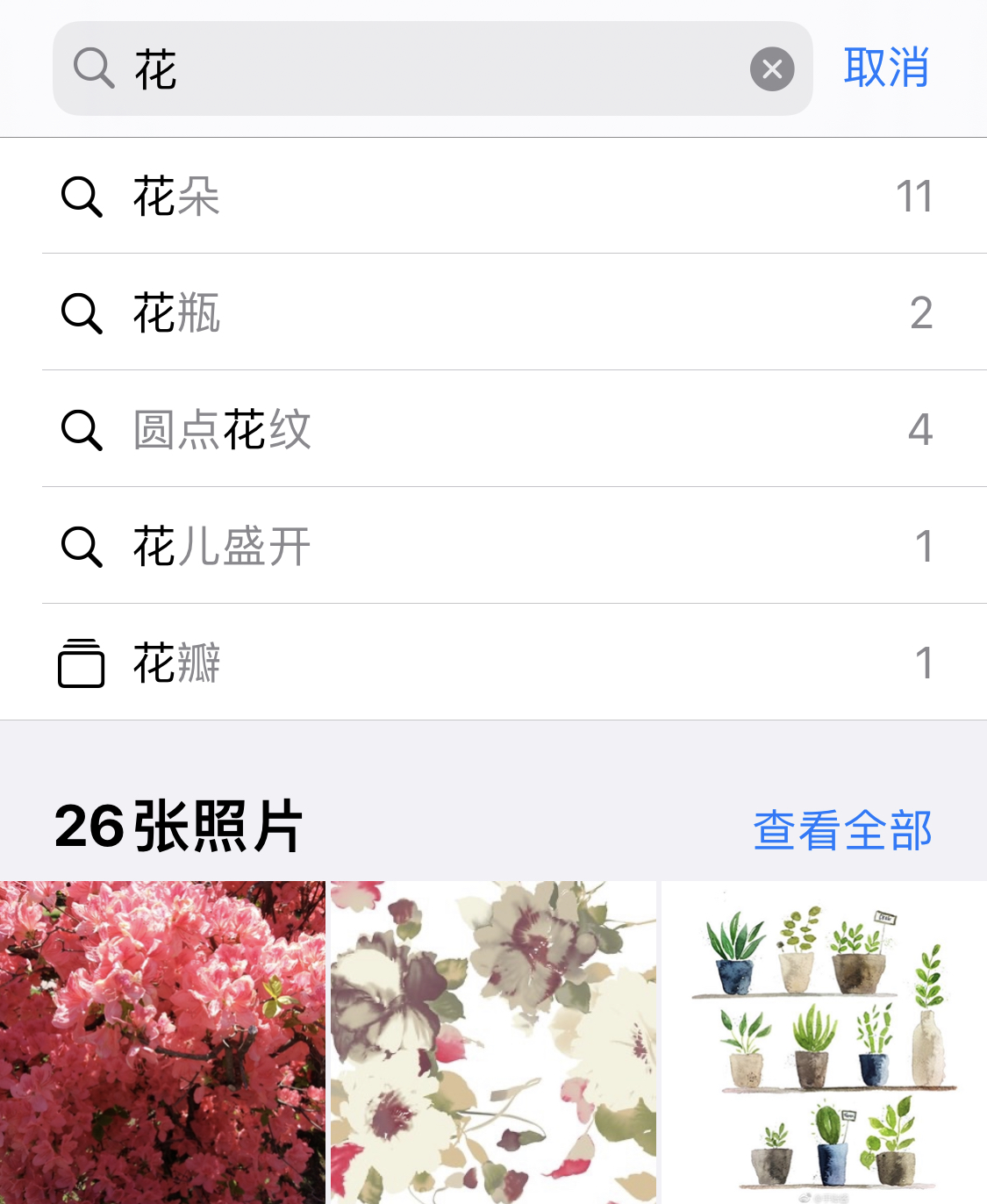 隆子苹果手机维修分享iPhone 小技巧 