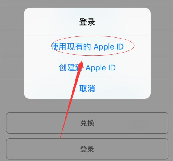 隆子苹果手机维修分享两台iPhone设备可以同时登录一个Apple ID吗 