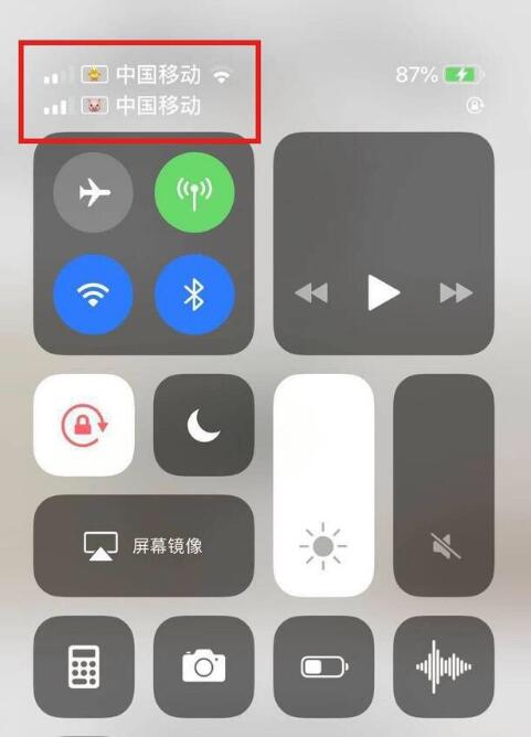隆子苹果手机维修分享为 iPhone 12 双卡设置标签 