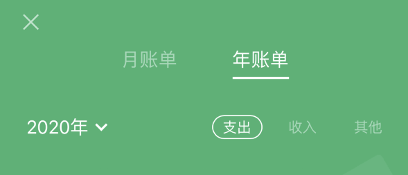 隆子苹果手机维修分享如何在 iPhone 上查看支付宝和微信年支出账单 